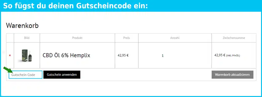 hemplix Gutschein einfuegen und sparen