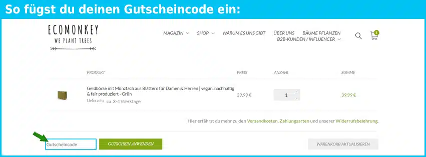 ecomonkey Gutschein einfuegen und sparen