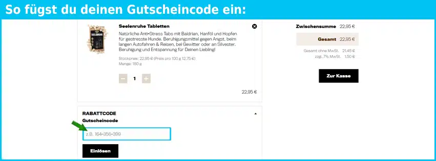 alphazoo Gutschein einfuegen und sparen