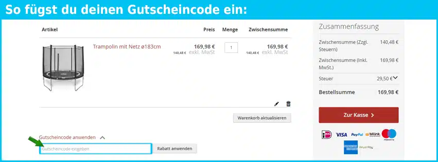 intergardshop Gutschein einfuegen und sparen