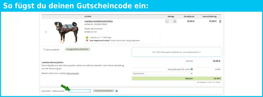 loesdau Gutscheine - gutscheincode eingeben und sparen