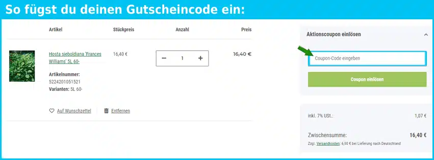 pflanzen-fuer-dich.de Gutscheine - gutscheincode eingeben und sparen