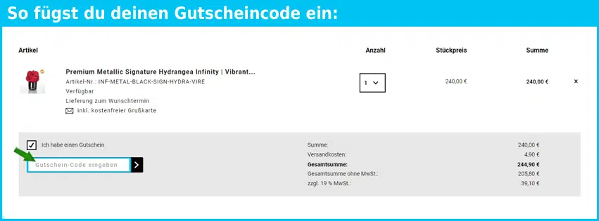 emmiegray Gutschein einfuegen und sparen blau