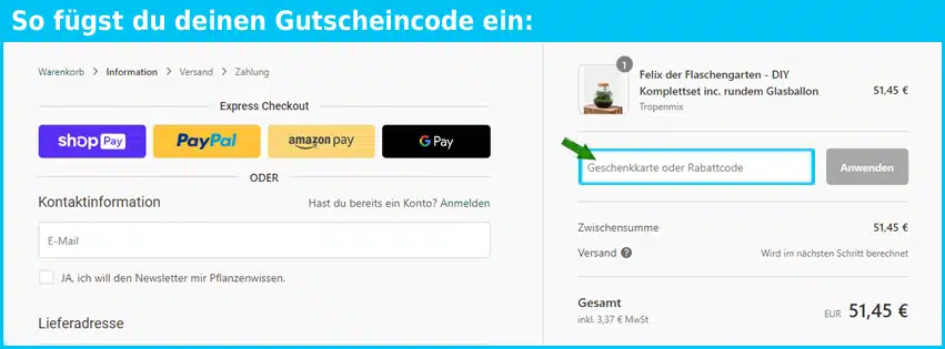 botanicly Gutschein Warenkorb blau