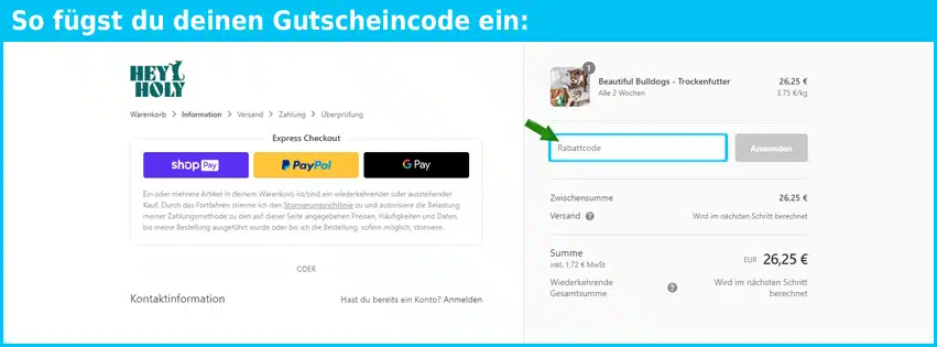 heyholy Gutschein einfuegen und sparen blau