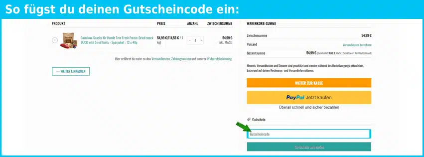 petshop24 Gutschein einfuegen und sparen blau