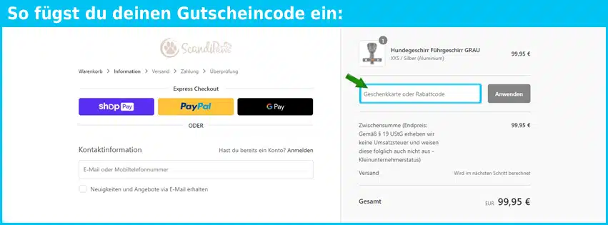 scandipaws Gutschein einfuegen und sparen blau