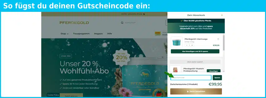 pferdegold Gutschein einfuegen und sparen blau