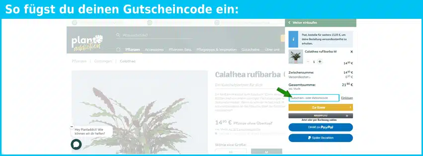 plantaddiction Gutschein einfuegen und sparen blau