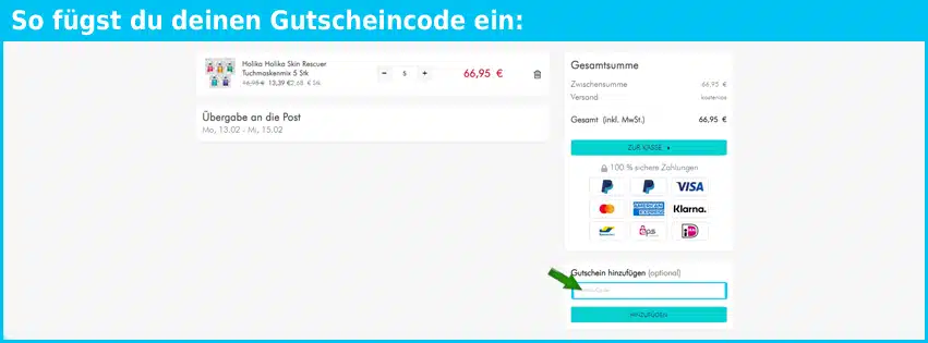 shr-germany-onlineshop Gutschein einfuegen und sparen blau