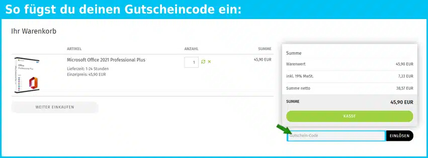 softwarekoenig Gutschein einfuegen und sparen blau