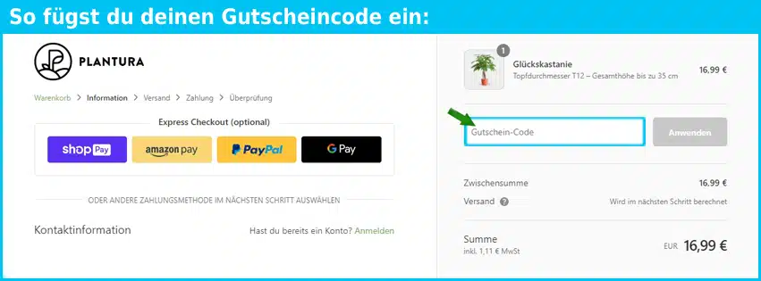 plantura Gutschein einfuegen und sparen blau
