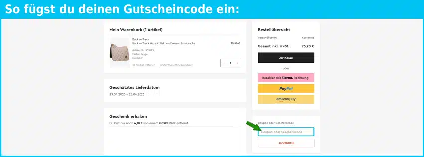 horze Gutschein einfuegen und sparen blau