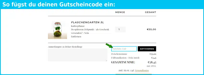 dein-flaschengarten.de Gutschein einfuegen und sparen blau