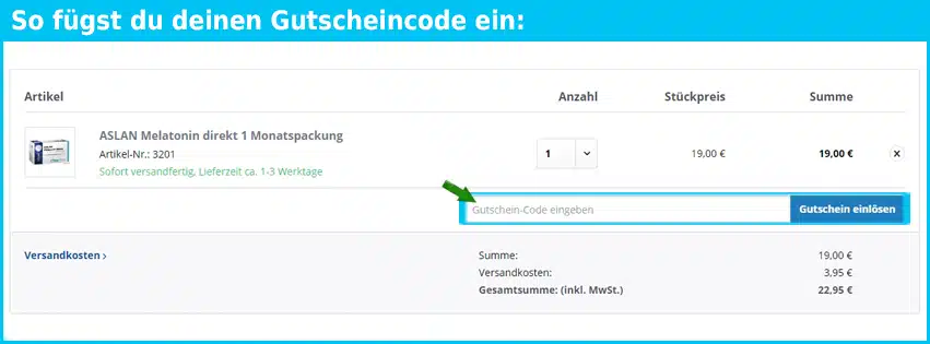aslan Gutschein einfuegen und sparen blau