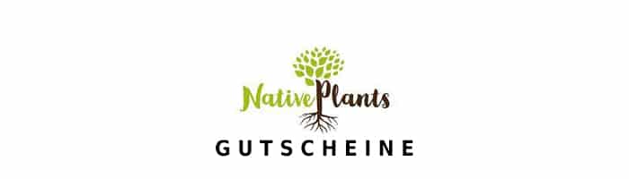 native-plants Gutschein Logo Oben
