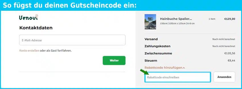 venovi Gutschein einfuegen und sparen blau