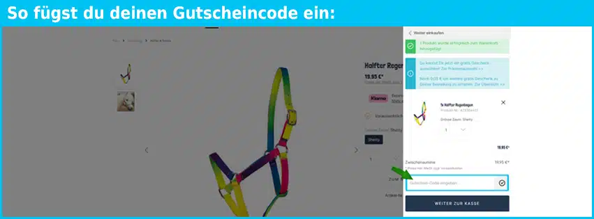 soulhorse Gutschein einfuegen und sparen blau