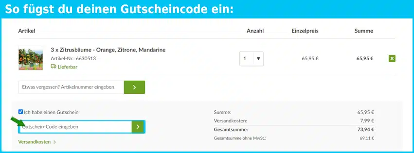 as-garten Gutschein einfuegen und sparen blau