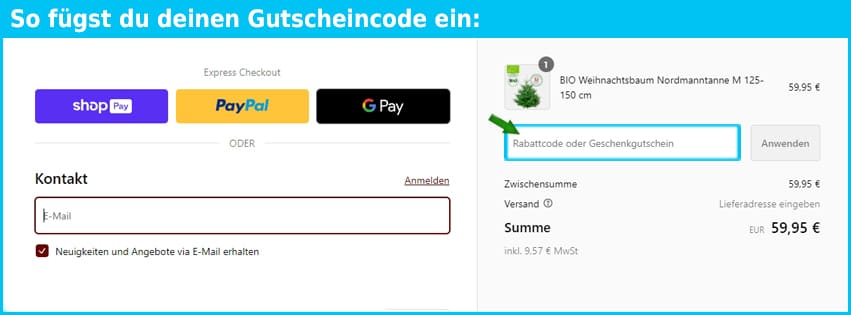 tannenversand.com Gutschein einfuegen und sparen blau