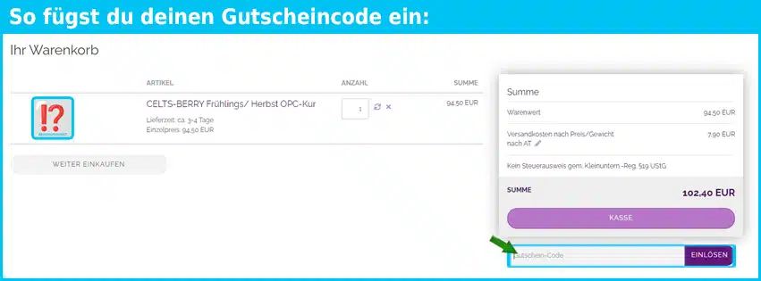 celts-berry Gutschein einfuegen und sparen blau