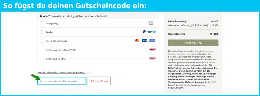 kaufnekuh Gutschein einfuegen und sparen blau