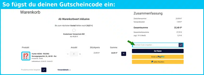 diman Gutschein einfuegen und sparen blau