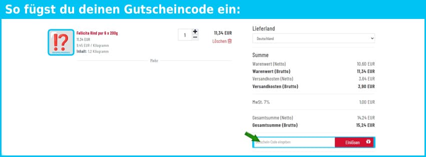 fellicita Gutschein einfuegen und sparen blau