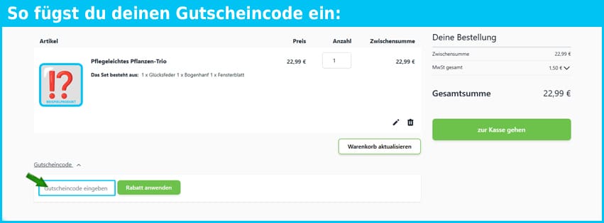 pflanzenshop.eu Gutschein einfuegen und sparen blau