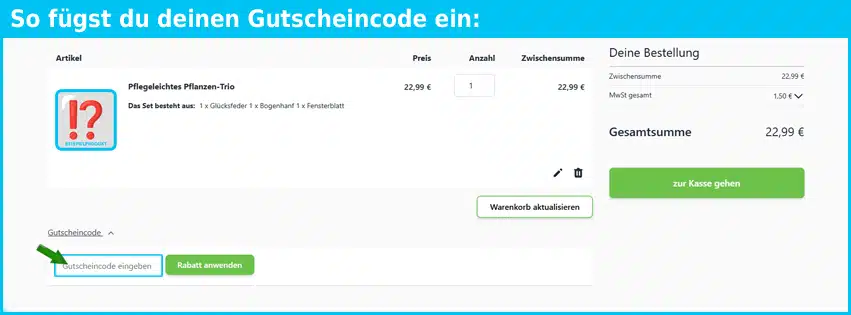 pflanzenshop.eu Gutschein einfuegen und sparen blau