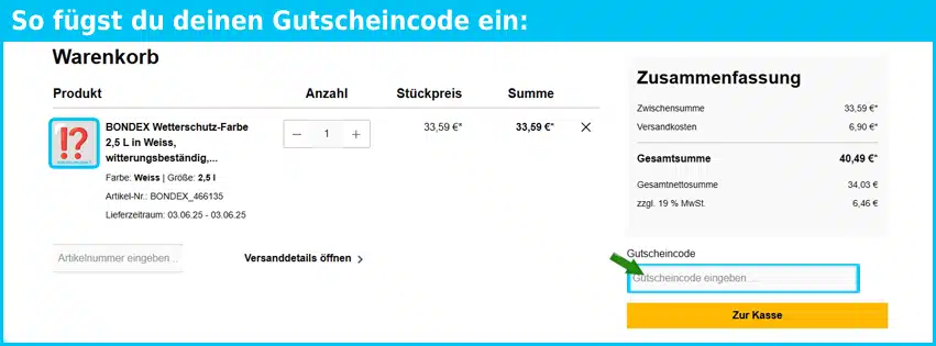 racoonio Gutschein einfuegen und sparen blau