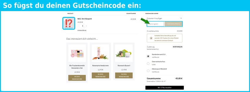 dienikolai Gutschein einfuegen und sparen blau