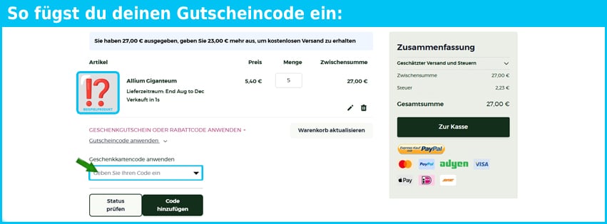 peternyssen Gutschein einfuegen und sparen blau
