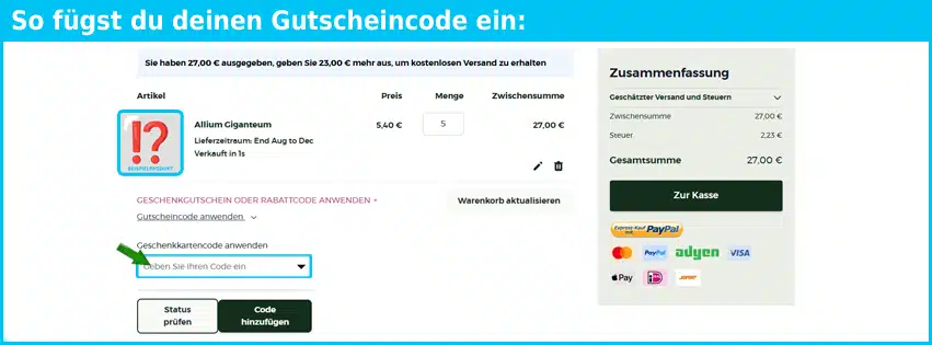 peternyssen Gutschein einfuegen und sparen blau