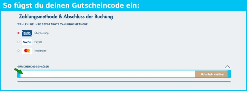 viva-cruises Gutschein einfuegen und sparen blau