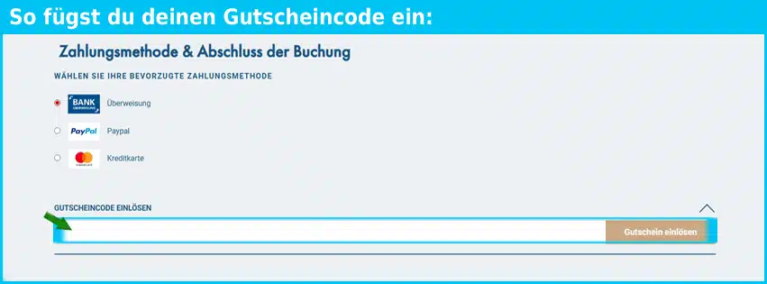 viva-cruises Gutschein einfuegen und sparen blau