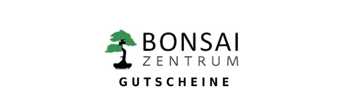 bonsai Gutschein Logo Oben
