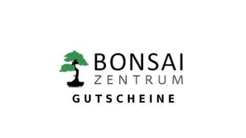 bonsai Gutschein Logo Seite