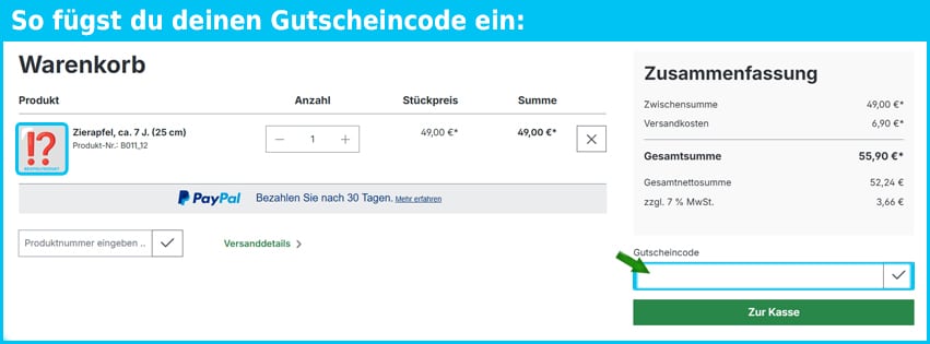 bonsai Gutschein einfuegen und sparen blau