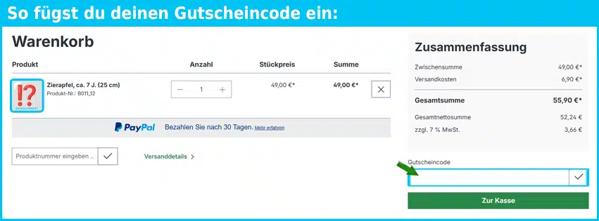 bonsai Gutschein einfuegen und sparen blau