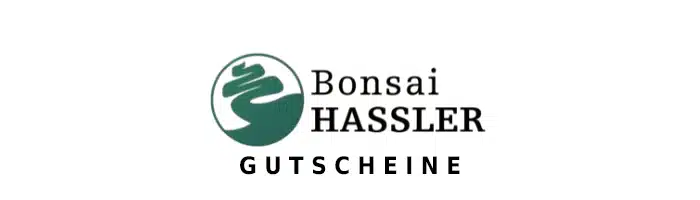 bonsai-hassler Gutschein Logo Oben