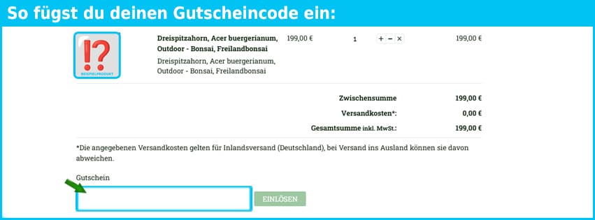 bonsai-hassler Gutschein einfuegen und sparen blau
