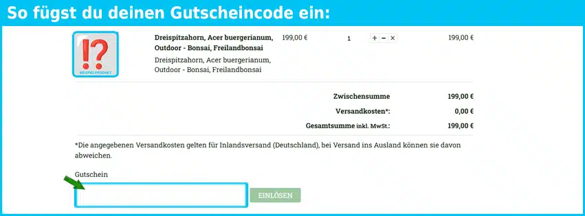 bonsai-hassler Gutschein einfuegen und sparen blau