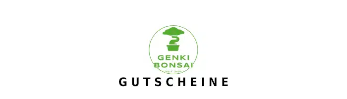 genki-bonsai Gutschein Logo Oben