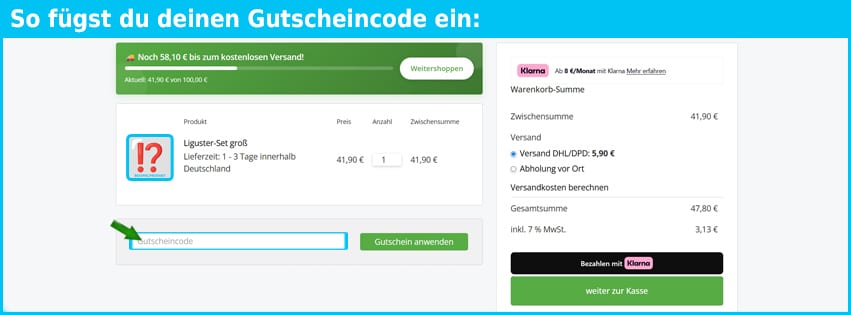 genki-bonsai Gutschein einfuegen und sparen blau