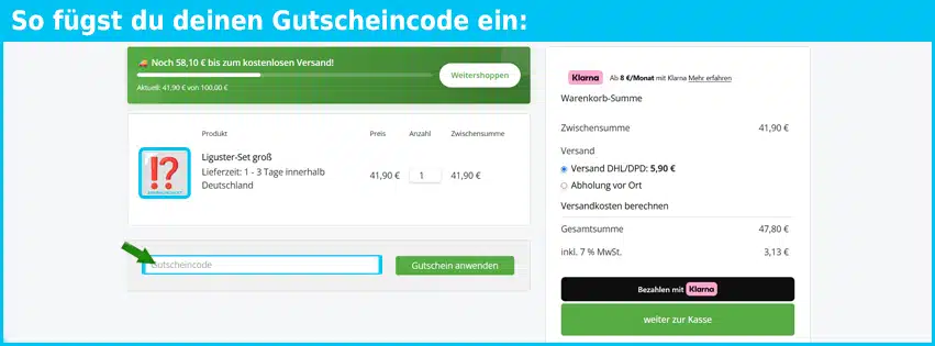 genki-bonsai Gutschein einfuegen und sparen blau