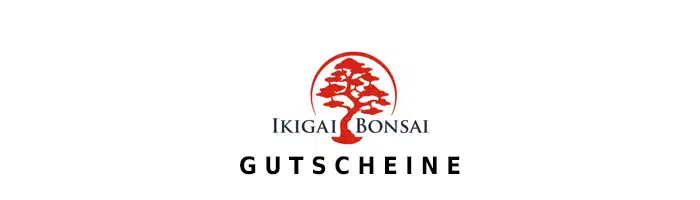 ikigai-bonsai Gutschein Logo Oben