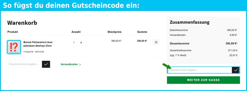 ikigai-bonsai Gutschein einfuegen und sparen blau