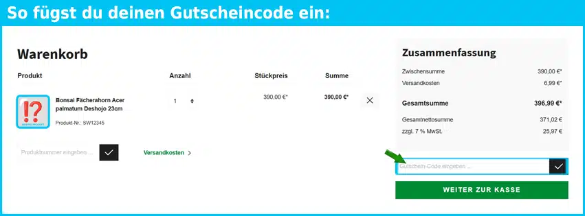ikigai-bonsai Gutschein einfuegen und sparen blau