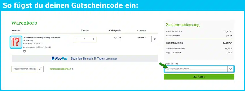 harros-pflanzenwelt Gutschein einfuegen und sparen blau